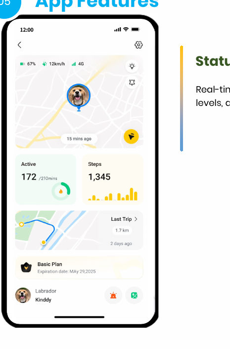 Pet tracking app dashboard with map, steps and activity information
